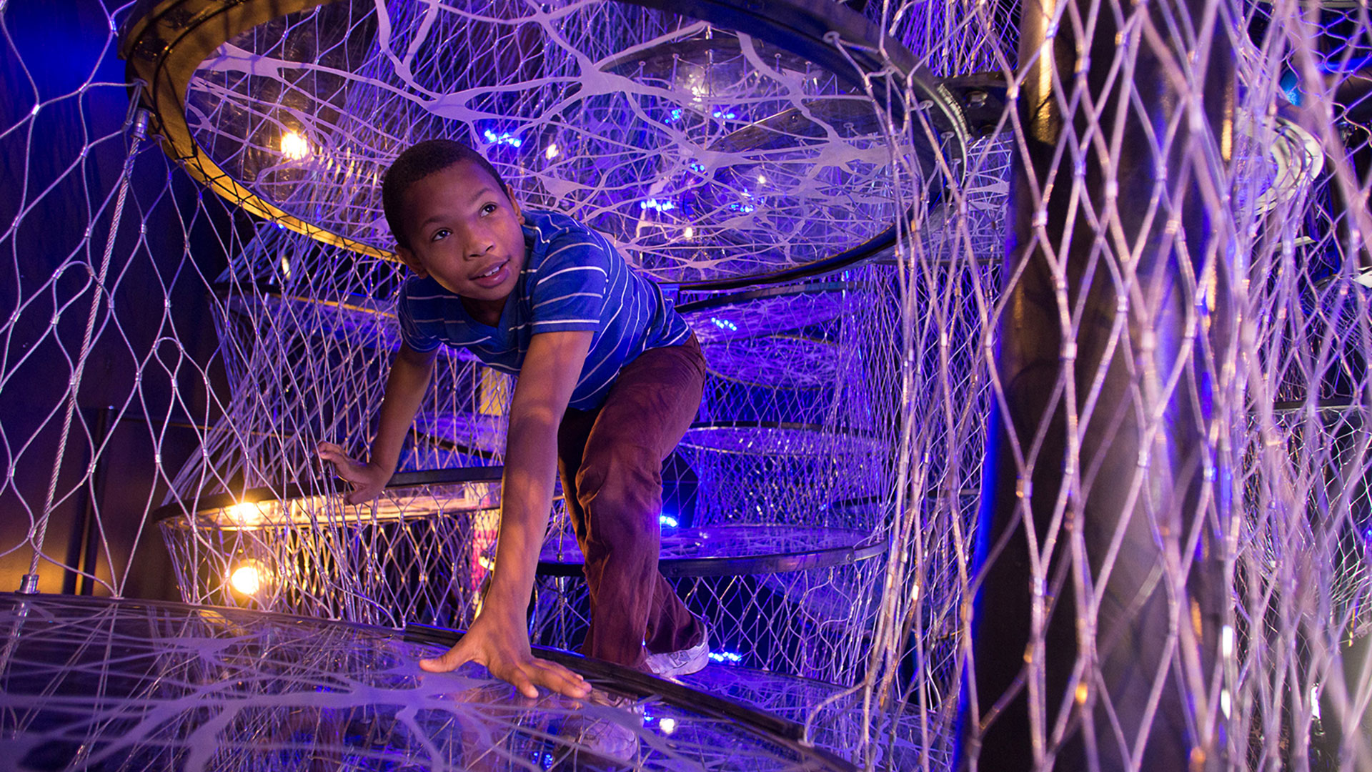 A boy explores the Neural Climb in the "Your Brain" exhibit