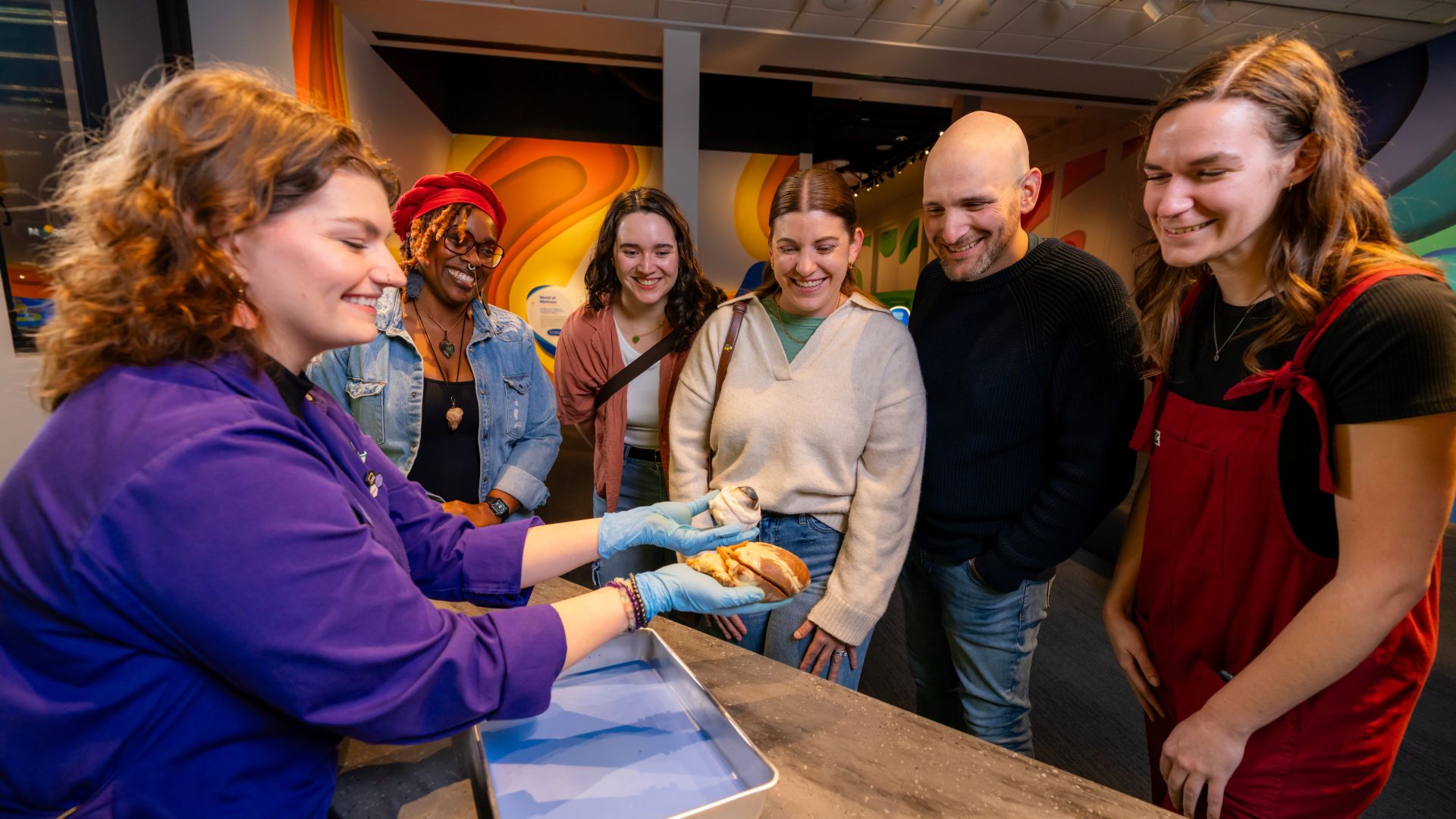 Body Odyssey Adults Dissection