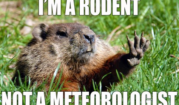 groundhog meme