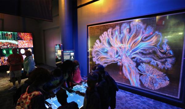 children gathered around table in brain exhibit