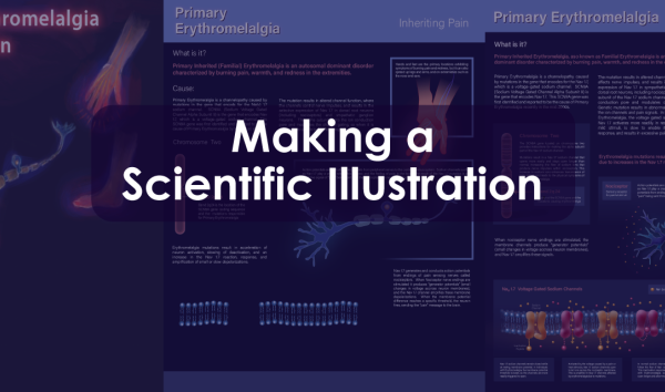 Blog Header image for Making a Scientific Illustration