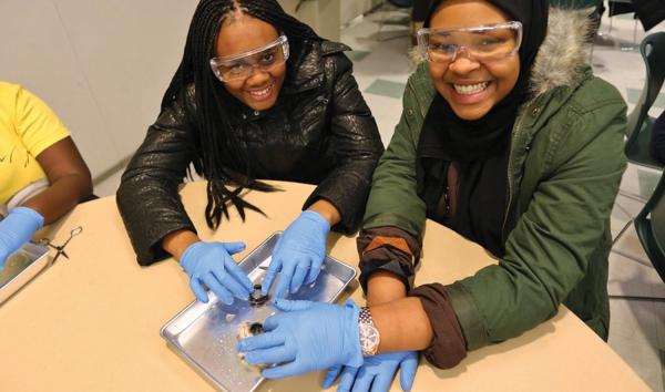 At a member workshop, visitors participate in a cow eye dissection.