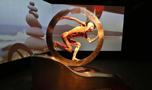 BODY WORLDS: Vital