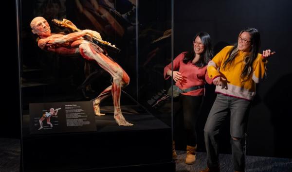 Body Worlds Vital