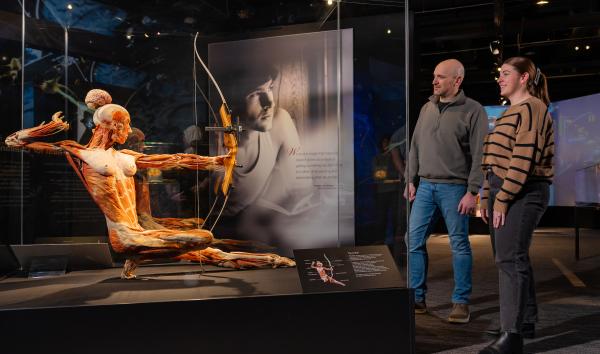 BODY WORLDS Vital Guest around Archer Plastinate