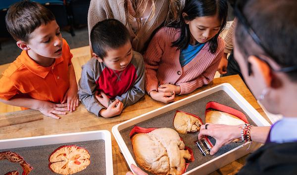 kids at dissection 