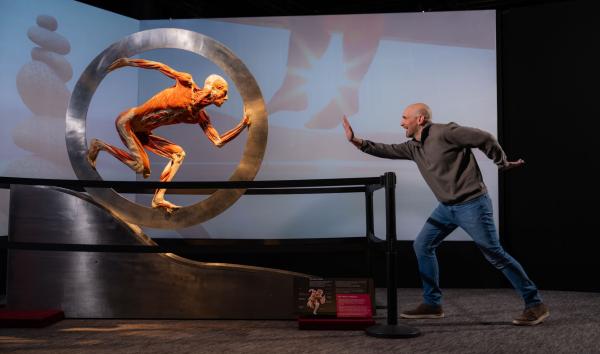 Body Worlds runner