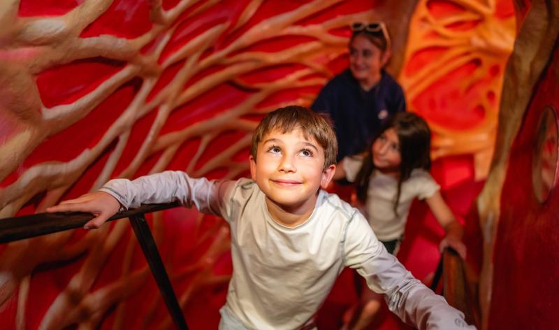 Kids climing through The Giant Heart