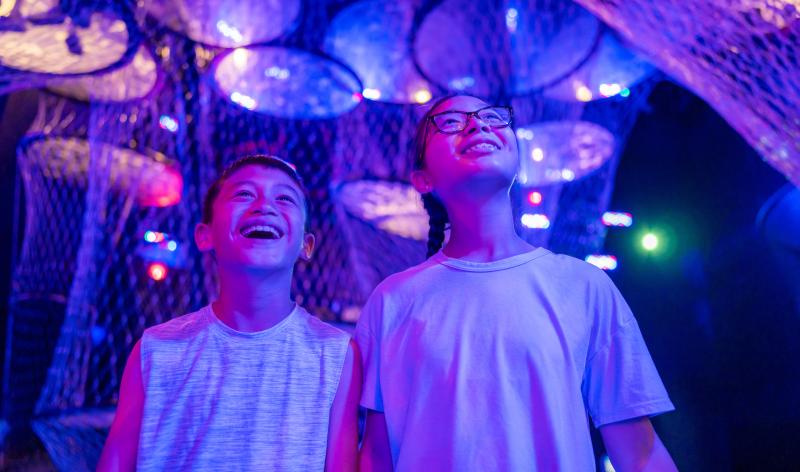 Kids standing under lights in Your Brain exhibit
