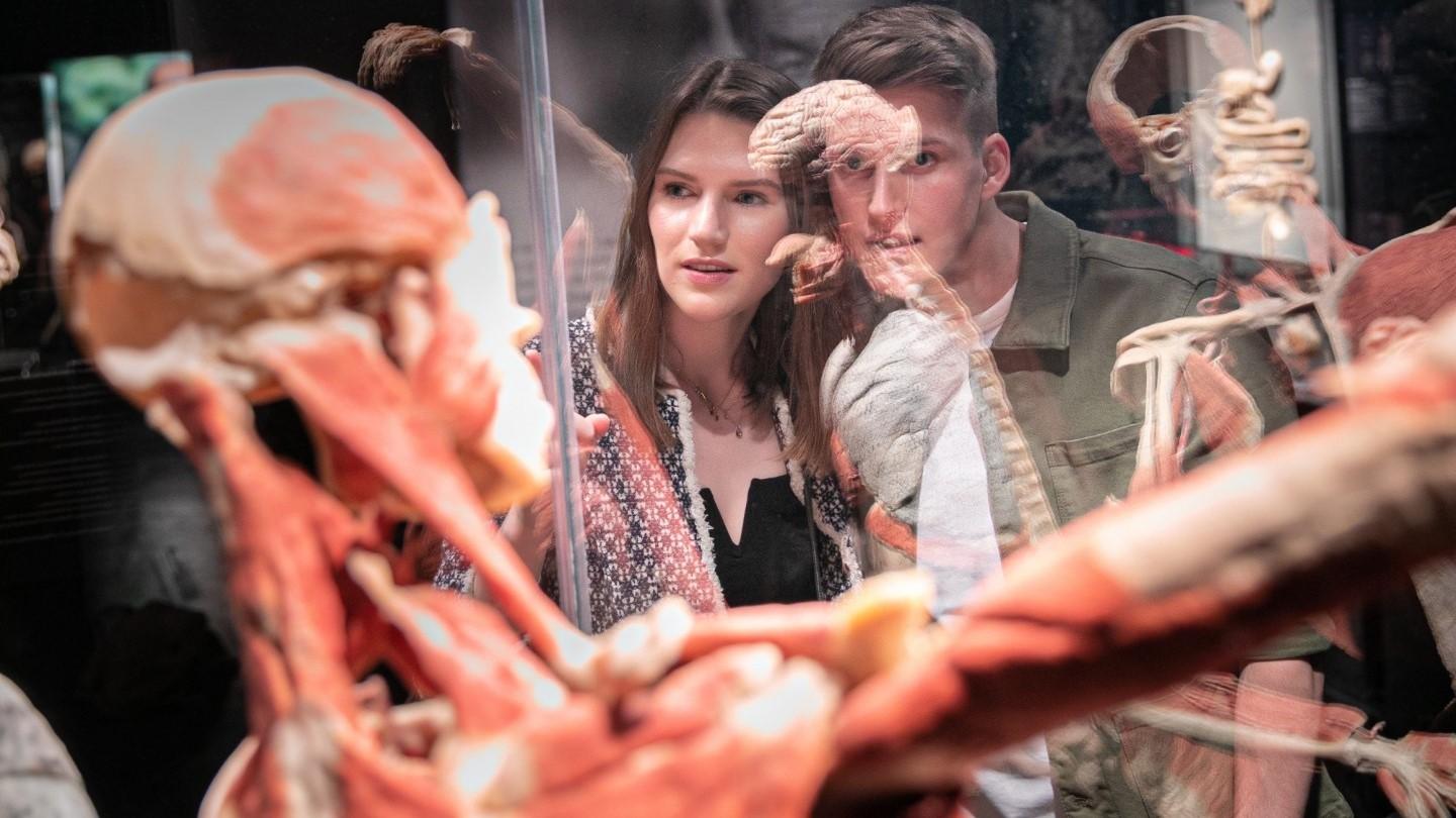 plastinate body worlds couple