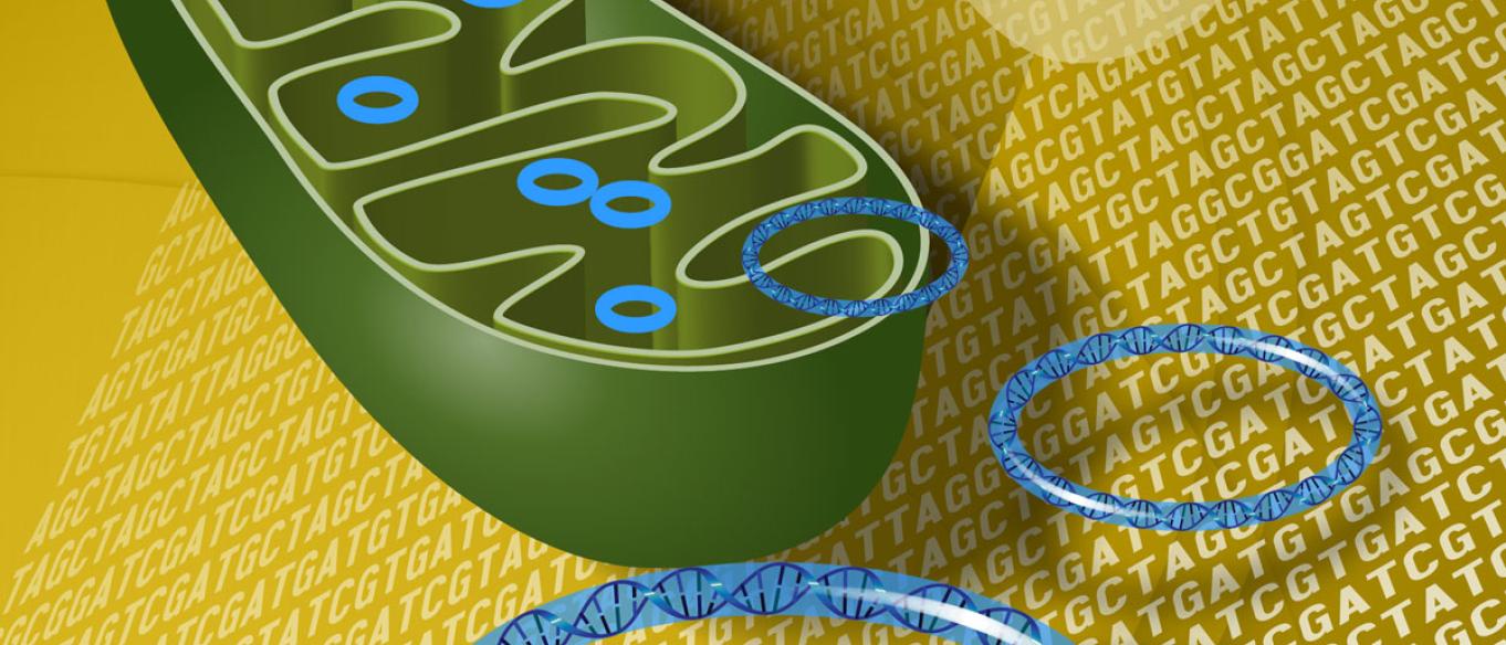 Can We Turn Back the Clock on Aging? | The Franklin Institute