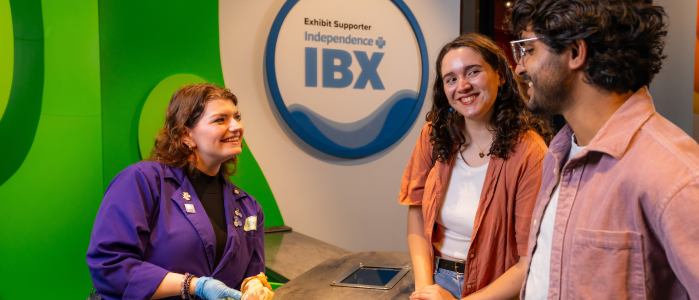 Dissection with IBX logo