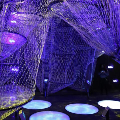 An interactive Neural Climb area in the Your Brain exhibit at The Franklin Institute