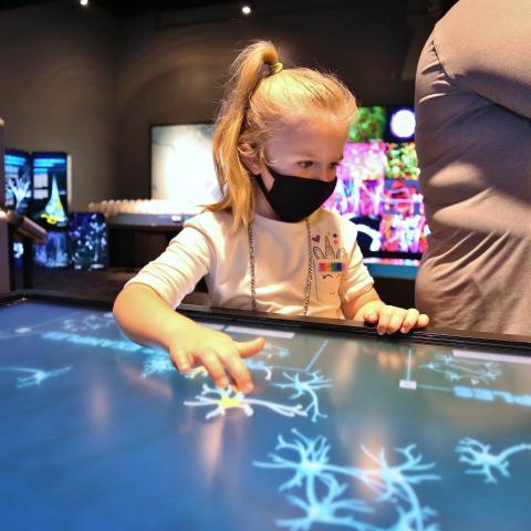 Playing in the Brain Exhibit