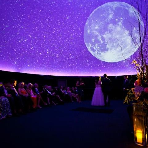Planetarium wedding cake