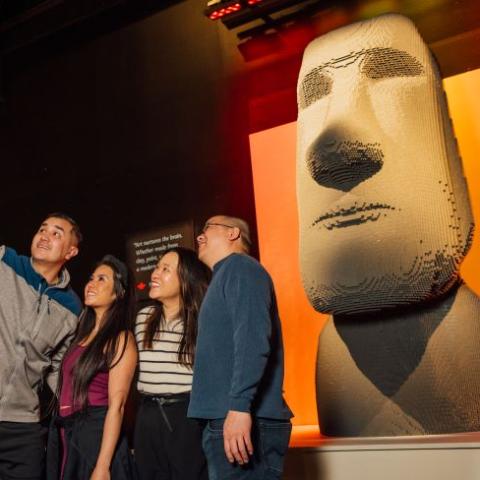 art of the brick - giant head with group