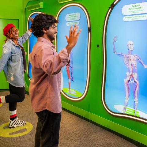 Body Odyssey Whole Body Interactive