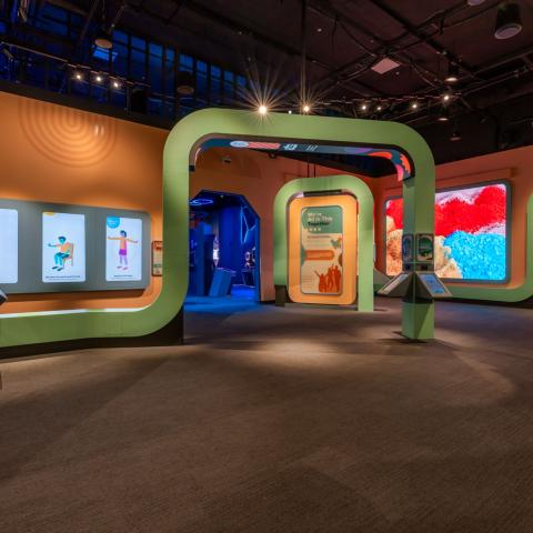 Body Odyssey Wellness Gallery