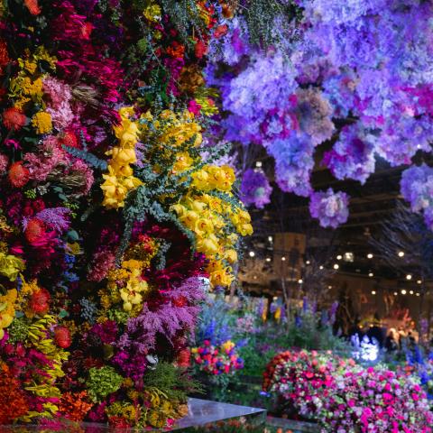 flower show
