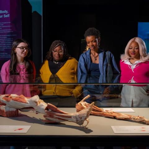 Body Worlds Vital