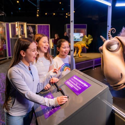 Universal Theme Parks: The Exhibition Animation