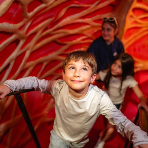 Kids climing through The Giant Heart