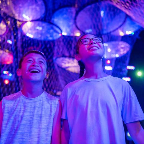 Kids standing under lights in Your Brain exhibit