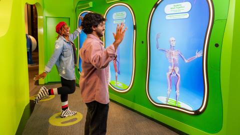 Body Odyssey Whole Body Interactive