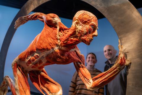 BODY WORLDS: Vital