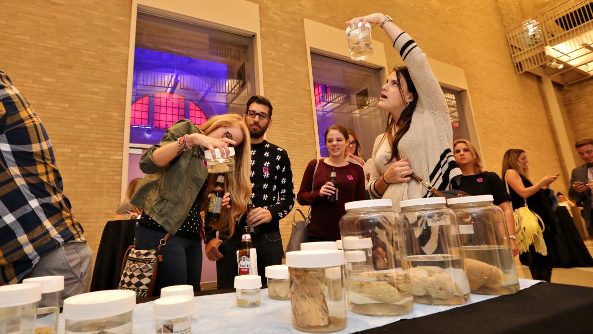 people examining brains in jars