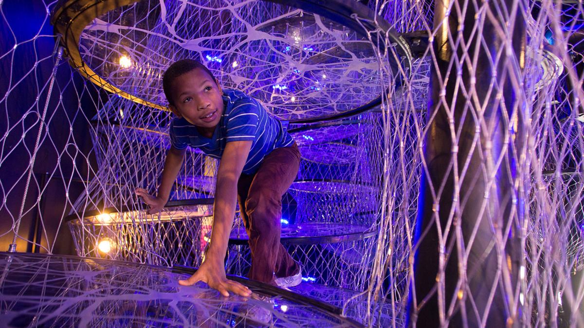 A boy explores the Neural Climb in the "Your Brain" exhibit