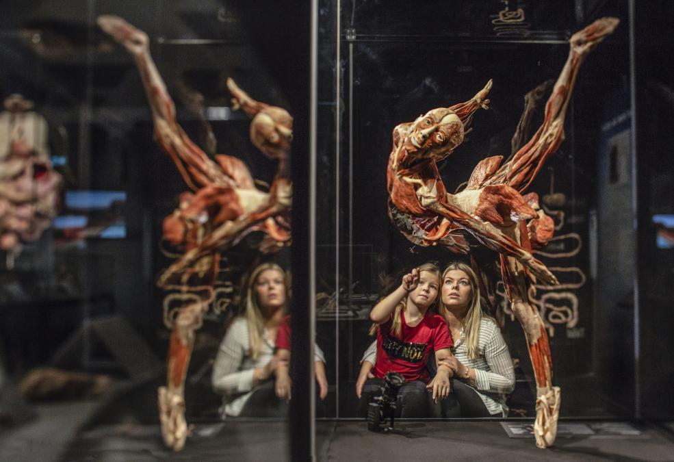 BODY WORLDS: Vital Dancer