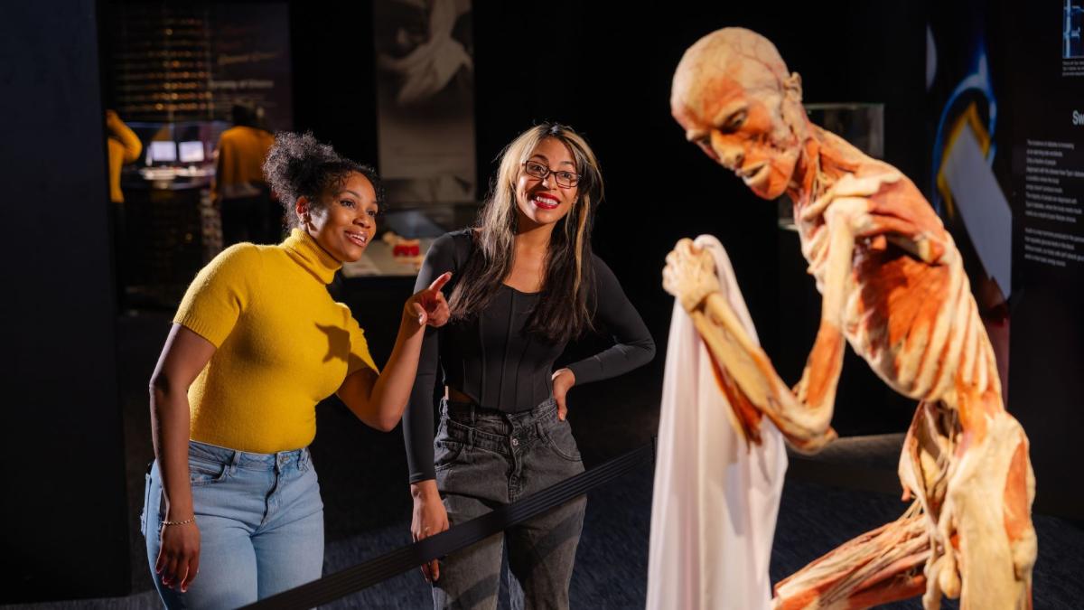 Body Worlds Header