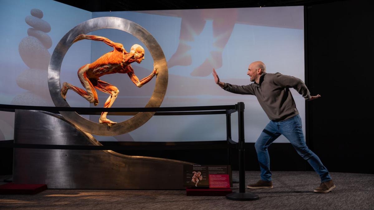Body Worlds runner