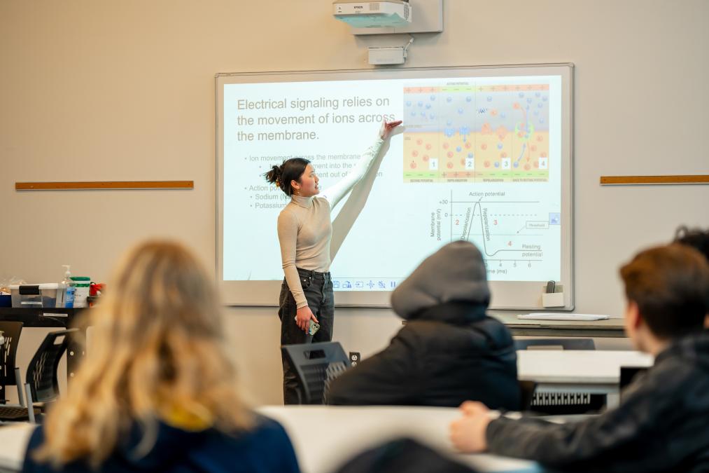 Educator demonstrating at white board