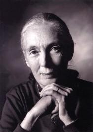 Jane Goodall