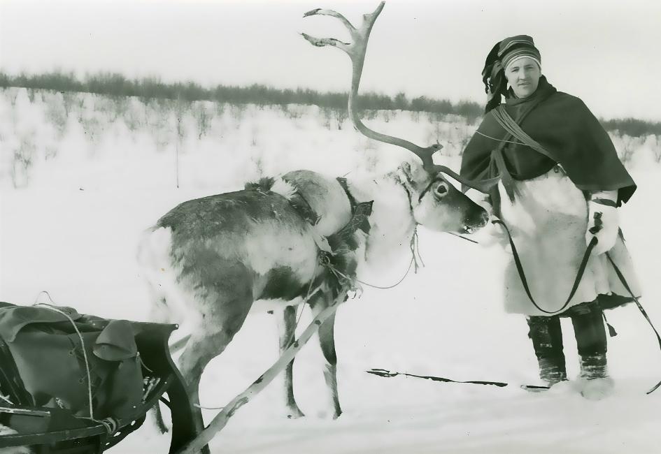 The Science of Santa's Reindeer