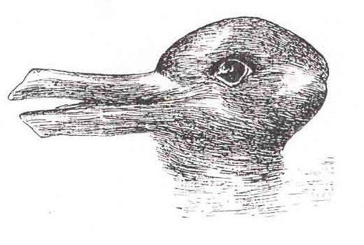 Black and white drawing that depicts either a rabbit or a duck, depending on how the viewer's brain interprets the image.