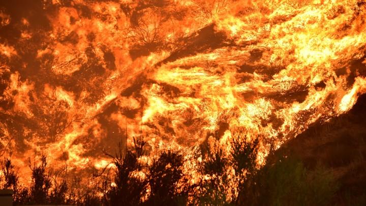 wildfire