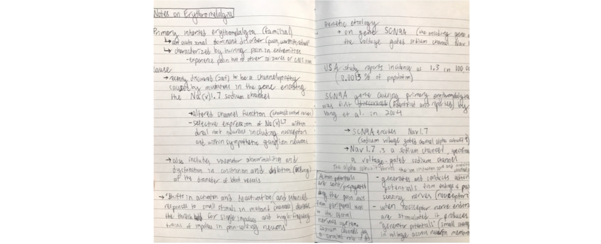 Sketch of an educational poster design and scientific illustration for erythromelalgia