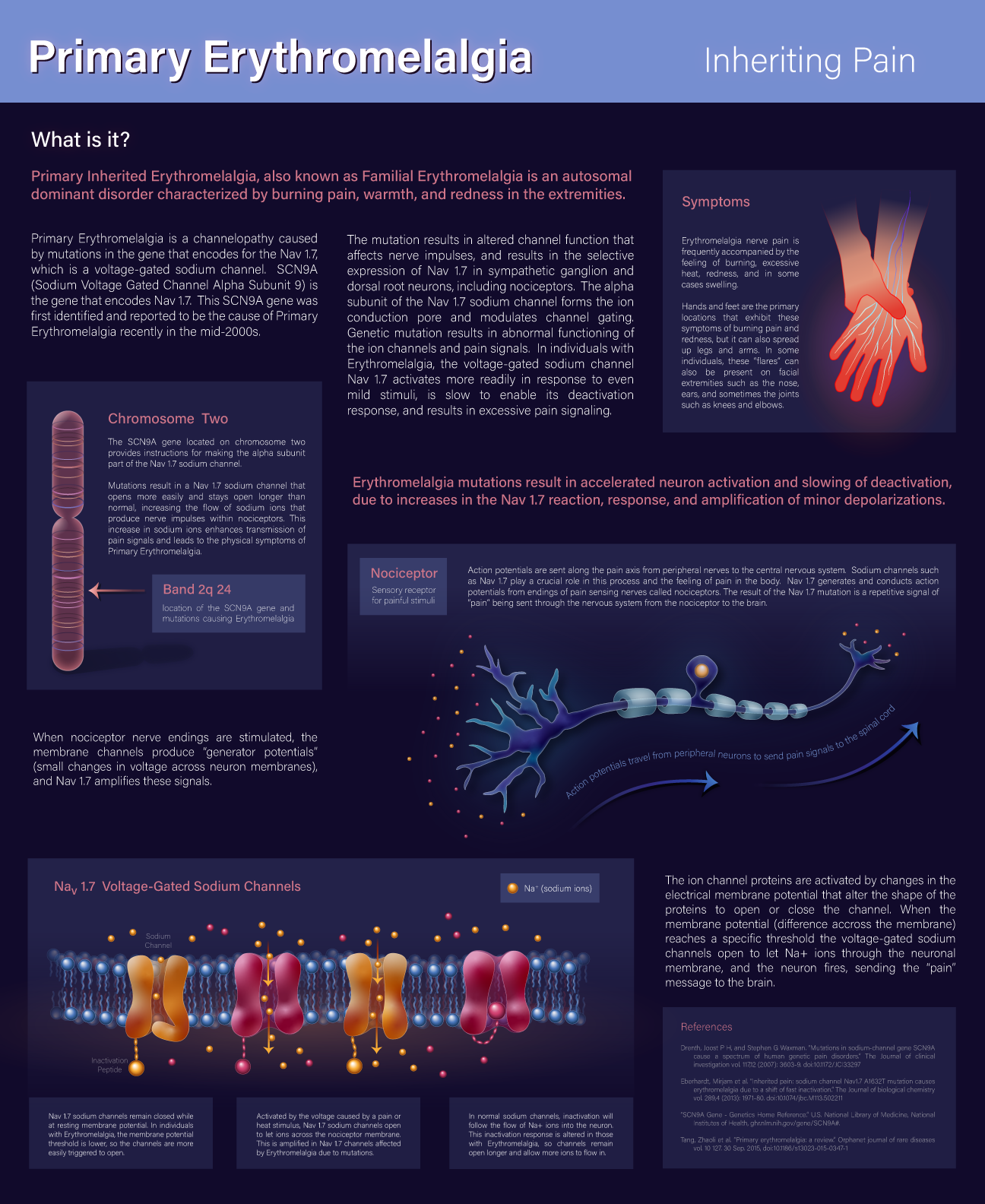 Educational poster with scientific illustrations depicting a medical condition called Erythromelalgia