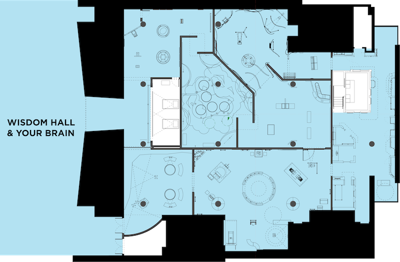 Wisdom Hall and Your Brain Floor Plan