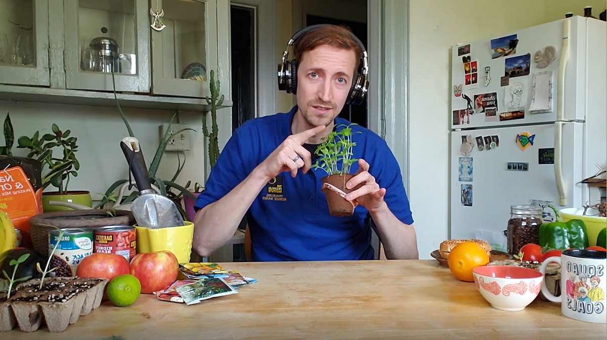 David with seeds