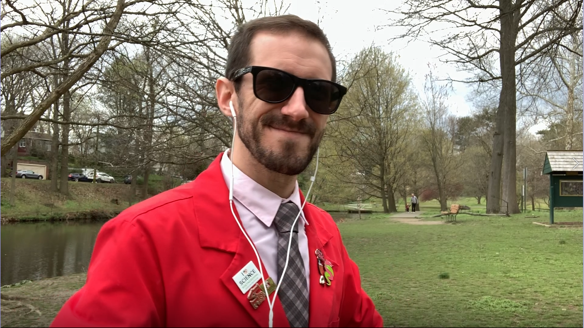 Fox in sunglasses