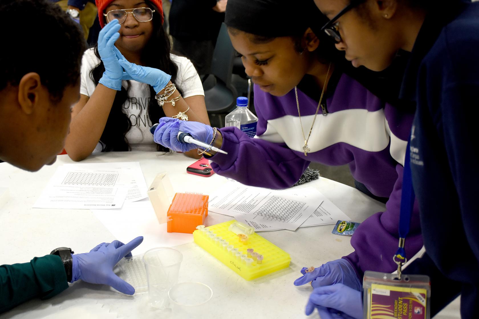 STEM Scholars