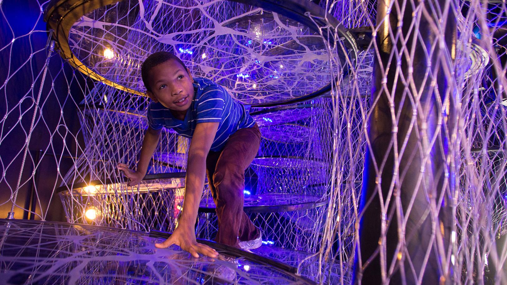 A boy explores the Neural Climb in the "Your Brain" exhibit