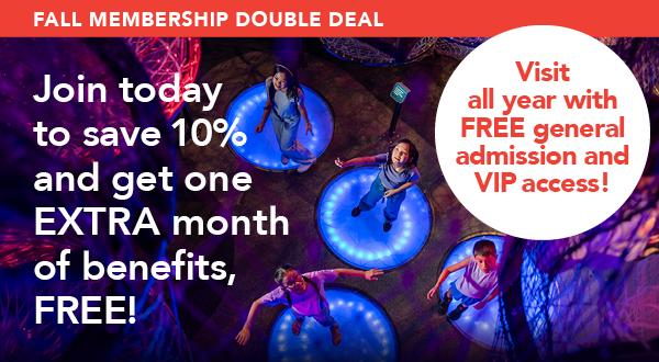Join TFI to save 10% and get one month free.